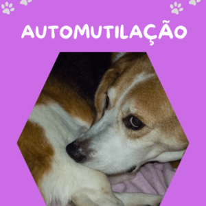 Floral-Pet- AutoMutilação