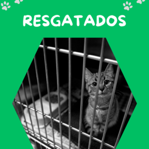 Floral- Pet- RESGATADOS