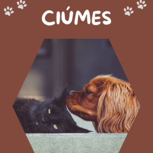 Floral-Pet- CIÚMES