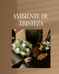 Floral Para Ambiente Triste